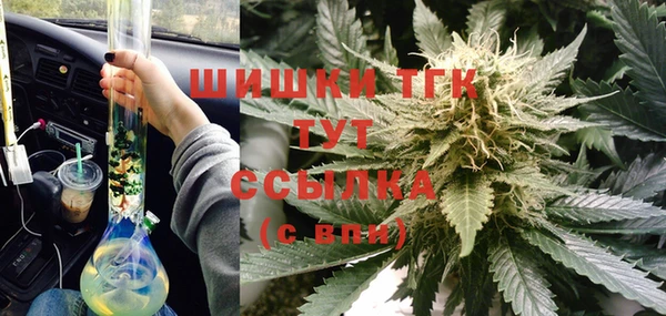 индика Няндома