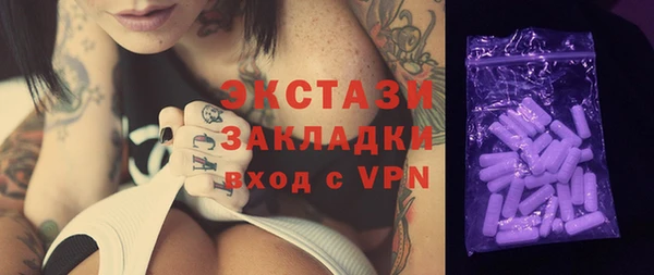 индика Няндома
