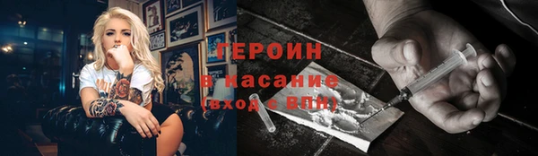 индика Няндома