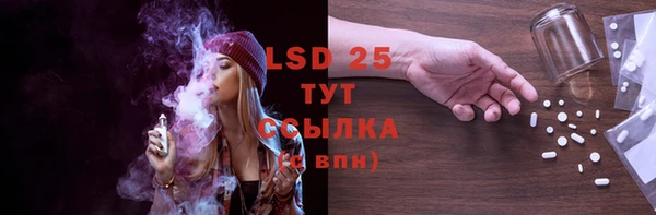 индика Няндома