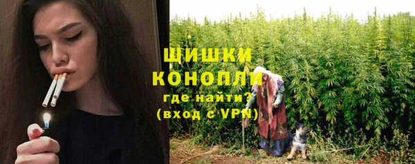 индика Няндома