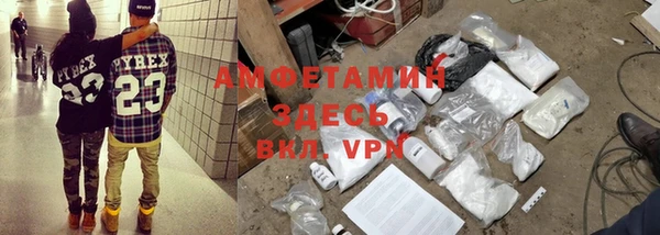 индика Няндома
