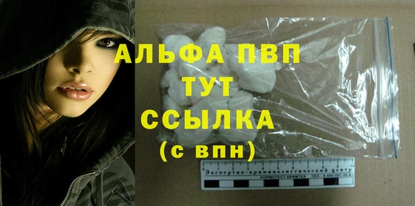 индика Няндома