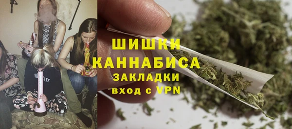 PSILOCYBIN Нязепетровск