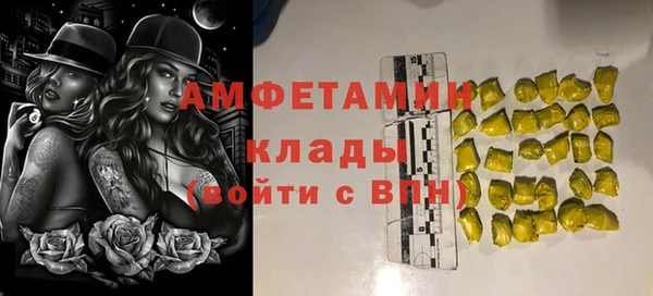 PSILOCYBIN Нязепетровск