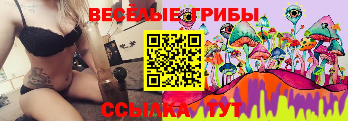 Псилоцибиновые грибы GOLDEN TEACHER  Псилоцибиновые грибы Psilocybe  Красноперекопск  где найти   Вход с VPN 